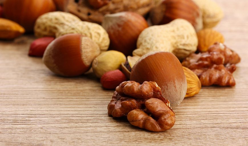 содержание белка в орехах и семенах