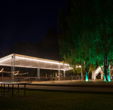 Берёзы парк