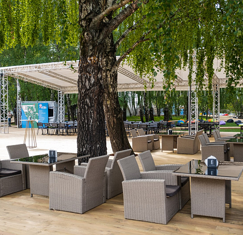 Берёзы парк