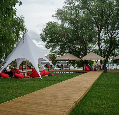 Берёзы парк