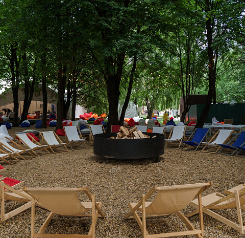 Берёзы парк