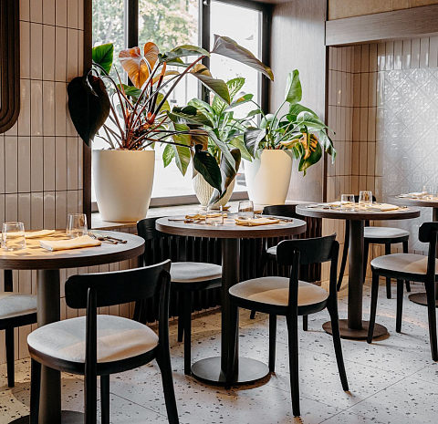 Аверо мио / Avero mio