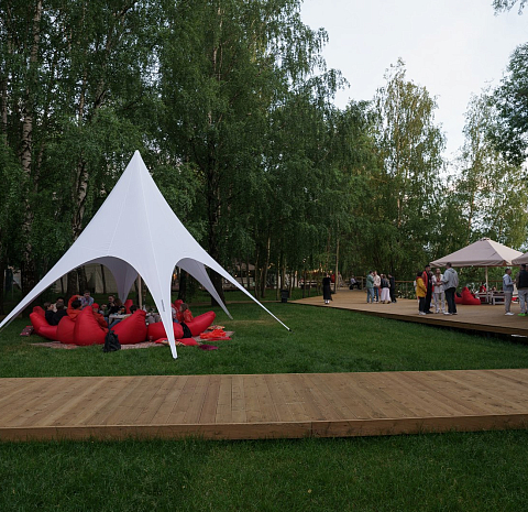 Берёзы парк