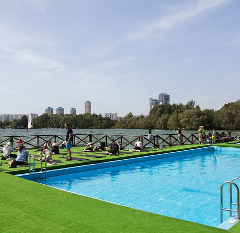 Берёзы парк