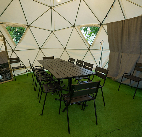 Берёзы парк