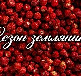 Сезон земляники в «Машрумз»